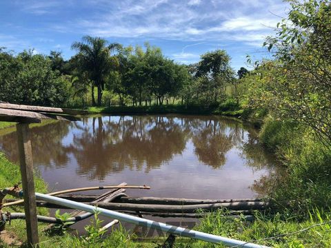 Foto Fazenda / Sítio / Chácara