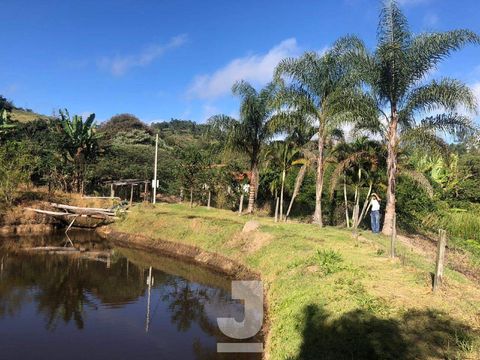 Foto Fazenda / Sítio / Chácara