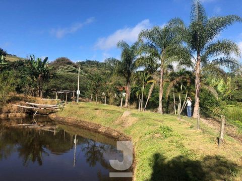Foto Fazenda / Sítio / Chácara