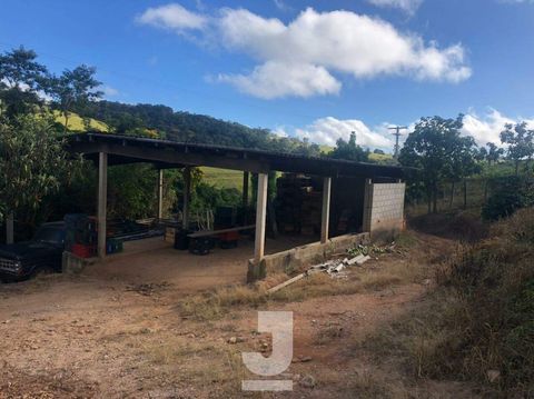 Foto Fazenda / Sítio / Chácara