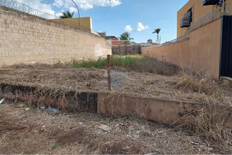 Foto Terreno