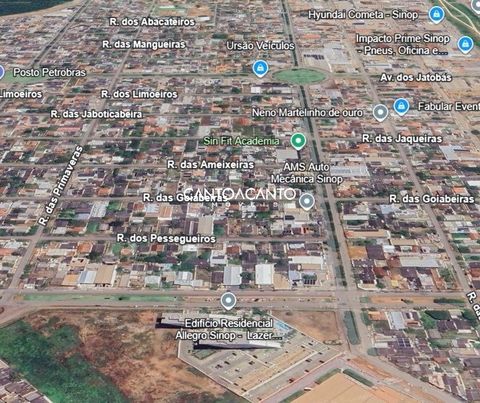 Foto Terreno