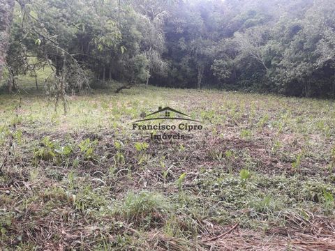 Foto Fazenda / Sítio / Chácara
