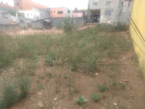 Foto Fazenda / Sítio / Chácara