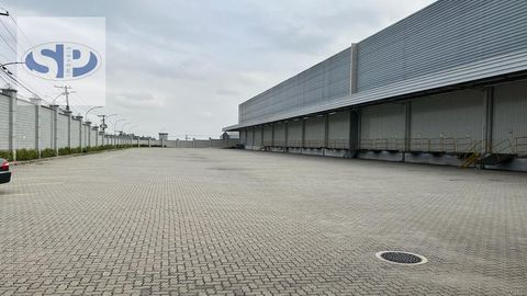 Foto Galpão / Depósito / Armazém / Pavilhão