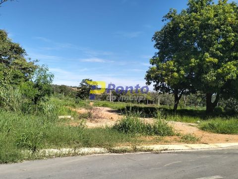 Foto Terreno
