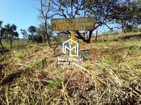 Foto Fazenda / Sítio / Chácara