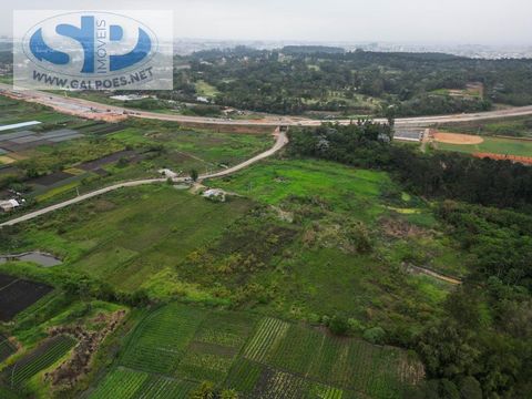 Foto Sala / Conjunto Comercial