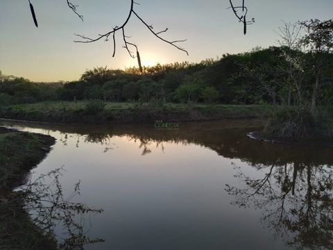 Foto Fazenda / Sítio / Chácara