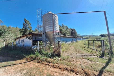 Foto Fazenda / Sítio / Chácara