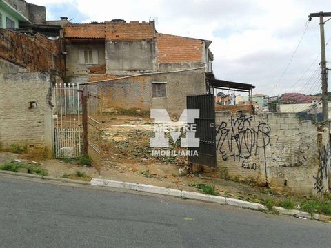 Foto Terreno