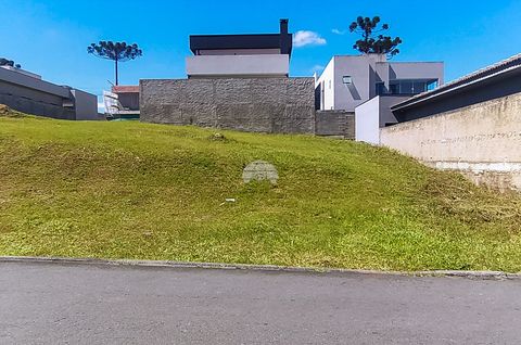 Foto Terreno