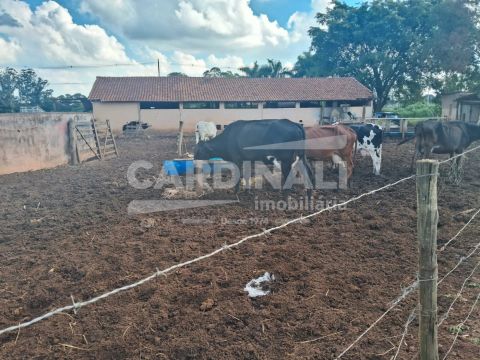 Foto Fazenda / Sítio / Chácara