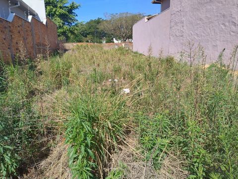 Foto Terreno