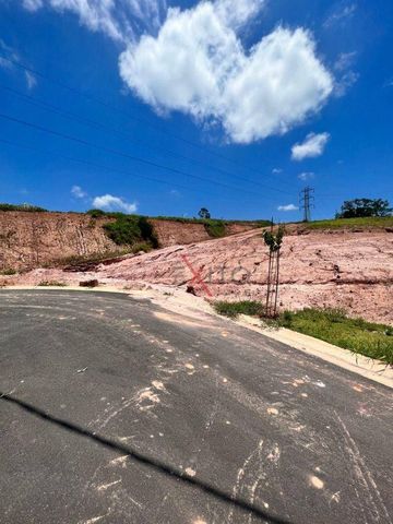 Foto Terreno
