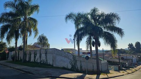 Foto Terreno