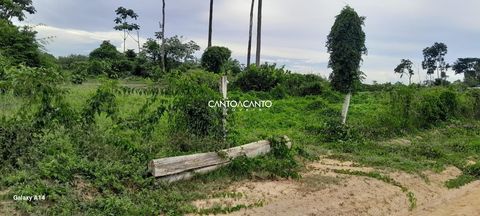 Foto Fazenda / Sítio / Chácara