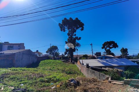 Foto Terreno
