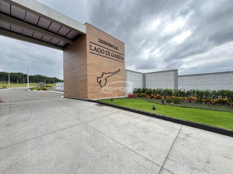 Foto Terreno