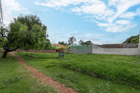 Foto Terreno
