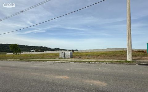 Foto Terreno