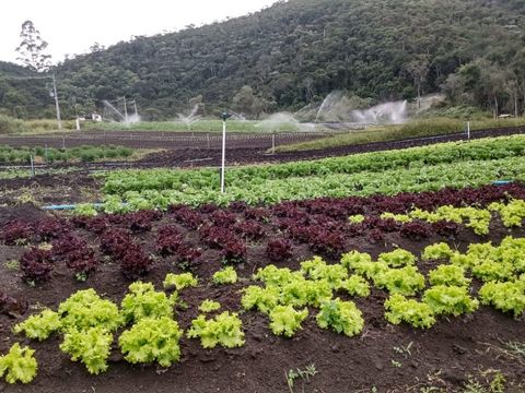 Foto Terreno
