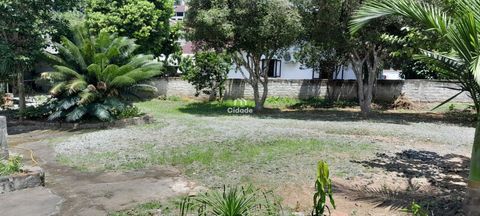 Foto Terreno
