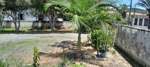 Foto Terreno