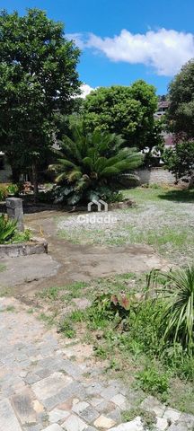 Foto Terreno