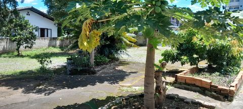 Foto Terreno