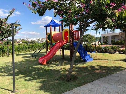 Foto Terreno