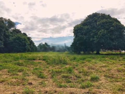 Foto Terreno