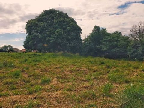Foto Terreno