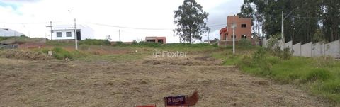 Foto Terreno
