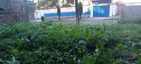 Foto Terreno