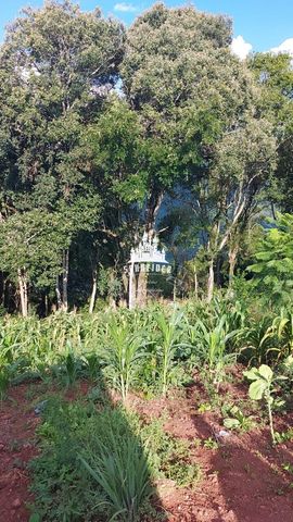 Foto Fazenda / Sítio / Chácara