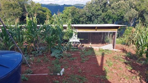 Foto Fazenda / Sítio / Chácara