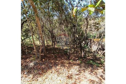 Foto Terreno