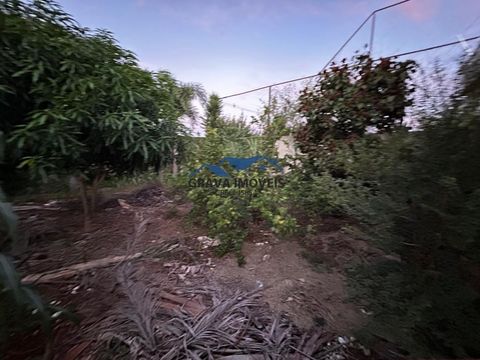 Foto Fazenda / Sítio / Chácara