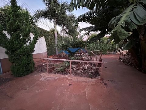 Foto Fazenda / Sítio / Chácara