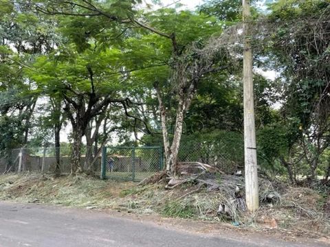 Foto Terreno