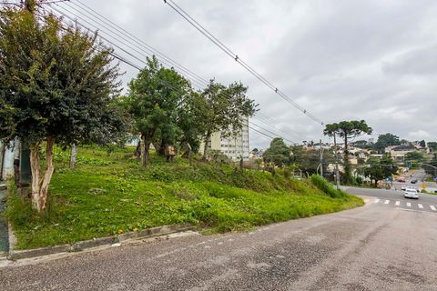 Foto Terreno