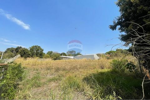 Foto Terreno