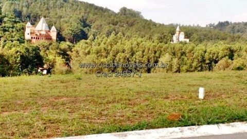Foto Terreno