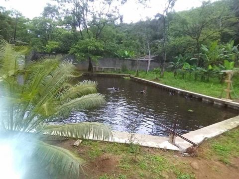Foto Fazenda / Sítio / Chácara