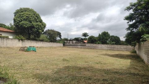 Foto Terreno