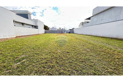 Foto Terreno