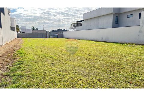 Foto Terreno