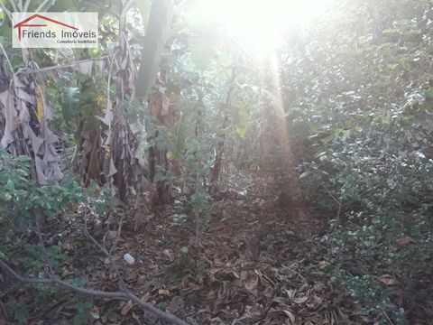 Foto Terreno