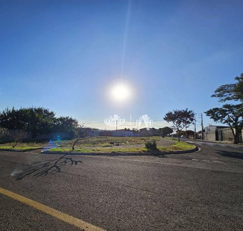 Foto Terreno